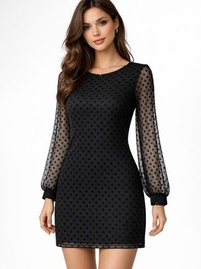 Ann Taylor Little Black Dress 
SheerTextured Long Sleeve Size 2